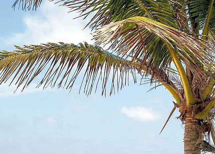 Tan-ik Hotel Akumal